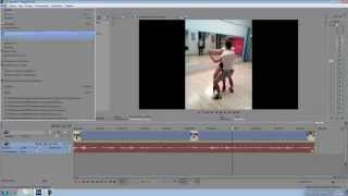 :        Sony Vegas