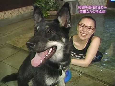 柴田理恵と愛犬のいいはなし Youtube