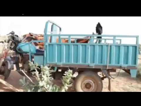 تقرير حول هجوم داعش الأخير في تلاتايت 