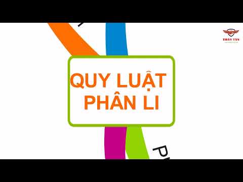 Video SƠ ĐỒ TƯ DUY SINH 12 - QUY LUẬT PHÂN LI CỦA MENDEN - youtube