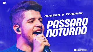 NADSON O FERINHA - PASSARO NOTURNO