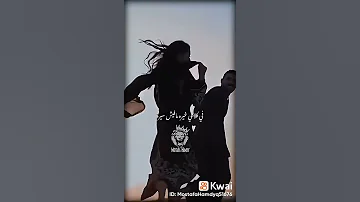 حبيت يا ابويا العرباوي 