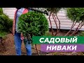 Делаем садовый Ниваки и габионы за один день.