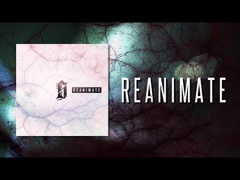 Set For The Sky - Reanimate (Lyric Video)