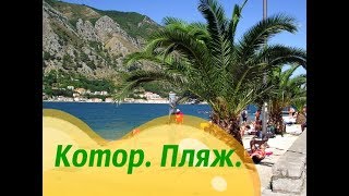 Черногория Котор пляж Доброта