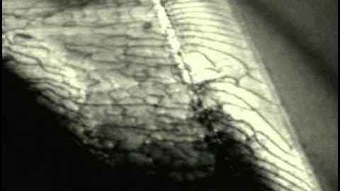 Dislocation cross slip 2