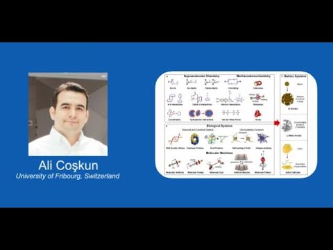 Tailoring Supramolecular Polymers for High Capacity Electrodes in Lithium-Ion Batteries | Ali Coşkun