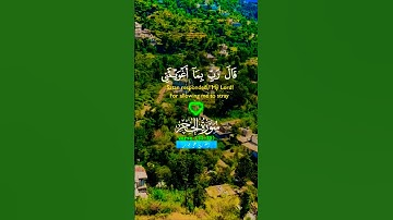 تلاوة خاشعة بصوت يريح الأعصاب #elmulquranعلم #تلاوة #اكسبلور #aslam #المصحف #trend #لايك #قران_كريم