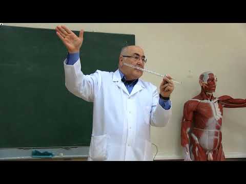 მიოლოგია პირველი ნაწილი