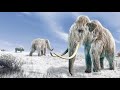 La Verdadera Historia Sobre La Extinción De Los Mamuts Gigantes Lanudos De La Edad De Hielo