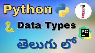 Python Data Types in Telugu python pythontelugu