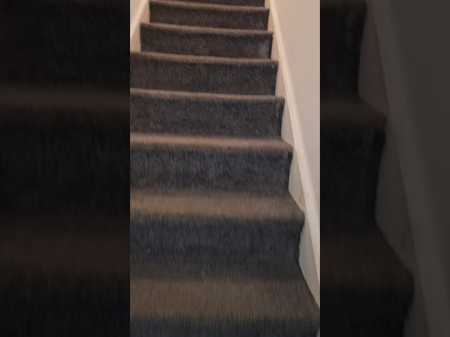 Video 1: