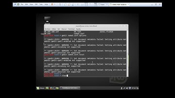 SERVIDOR DNS LINUX MINT