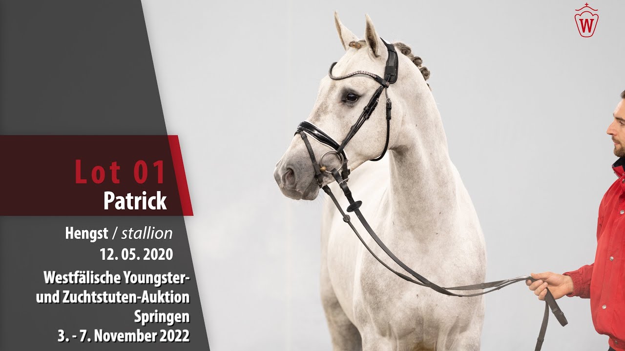 OnlineAuktion Lot 01 Patrick Hengst v. Dakar VDL Hors la Loi II