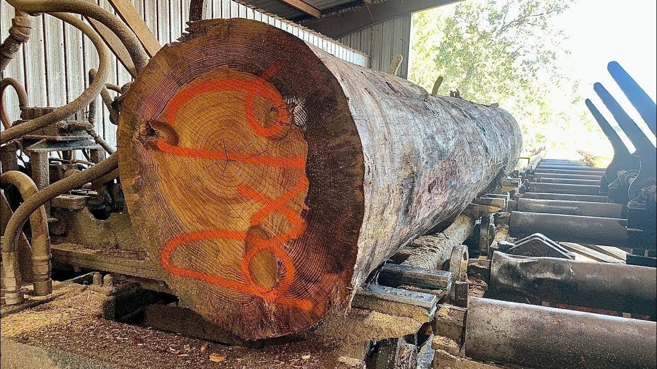 Sawing 10 x 10 x 16’ and 12 x 12 x 16’ Pine Beams With 66” Solid Tooth Circle Saw