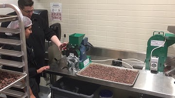 Cacao bean cracking and separator IMG 0164