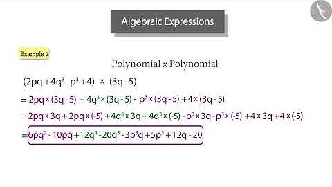 Multiplication of algebraic expressions | Part 2/3 | English | Class 8