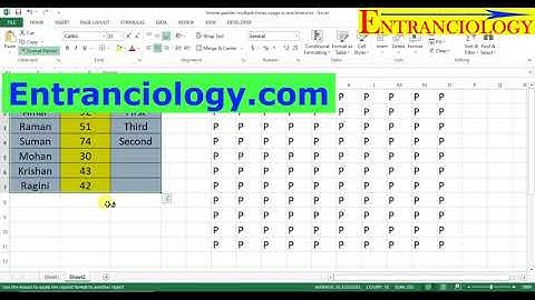 How to Use Format Painter Multiple Times in Single Time in MS Excel | Best Excel Tutorial in Hindi