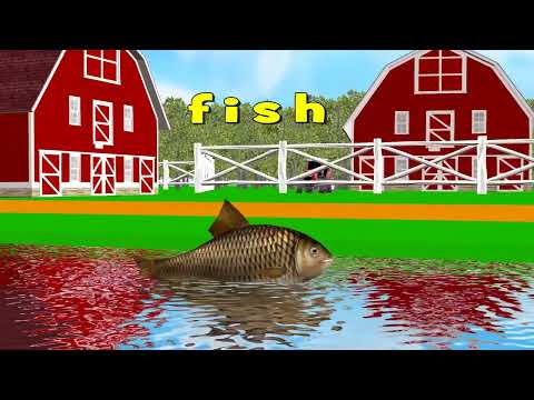 Farm Animal