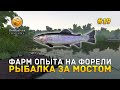 Фарм опыта на форели. Рыбалка за мостом - theFisher Online #19