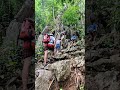 EL NIDO CANOPY WALK: Scariest View in Palawan?! 😱🕷️ (Sulit Ba?) #Shorts