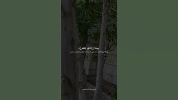 تلاوة جميلة  تريح القلب 🤍. #قرآن  #تلاوة_خاشعة #انشر_تؤجر #اكسبلور #قران_كريم #لايك