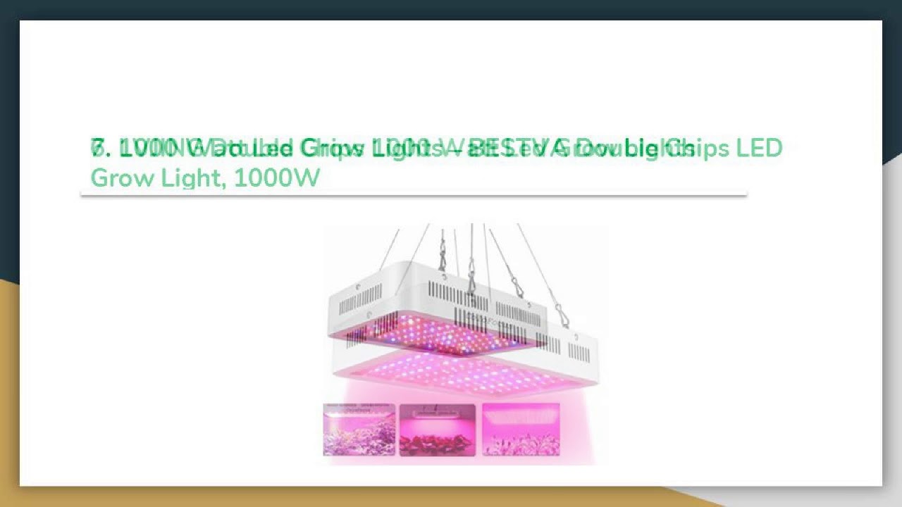 Top 12 Best 1000 Watt Led Grow Lights in 2019 Review Buyer’s Guide YouTube