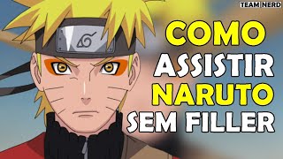 Lista Completa de Fillers em Naruto Shippuden - Nerding