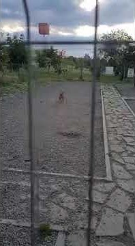 youtube.com