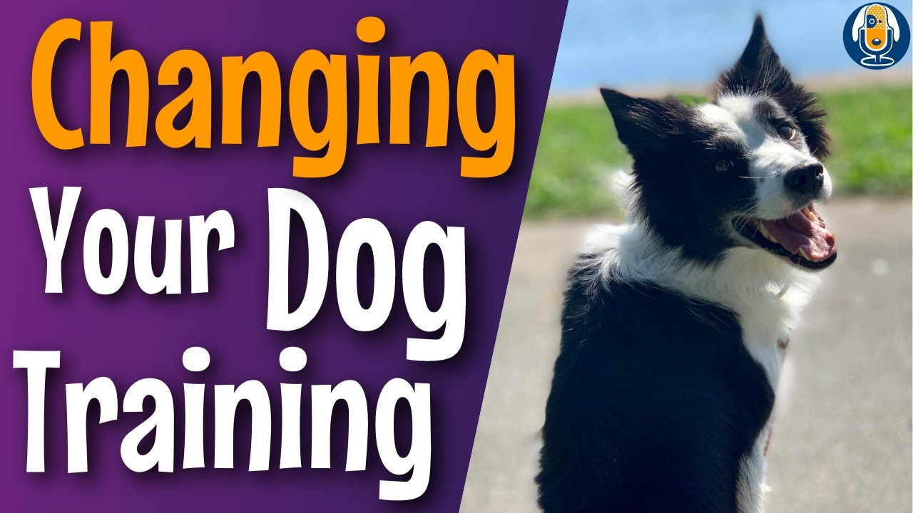 Why You Should Change Your Strategy Rather Than Your Criteria When Dog ...