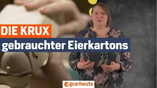 Eierkartons zum Landwirt zurückbringen? Warum das keine gute Idee ist