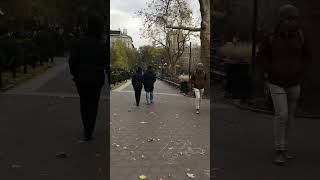 Washington Square Park New York #shorts #shortvideo #newyork