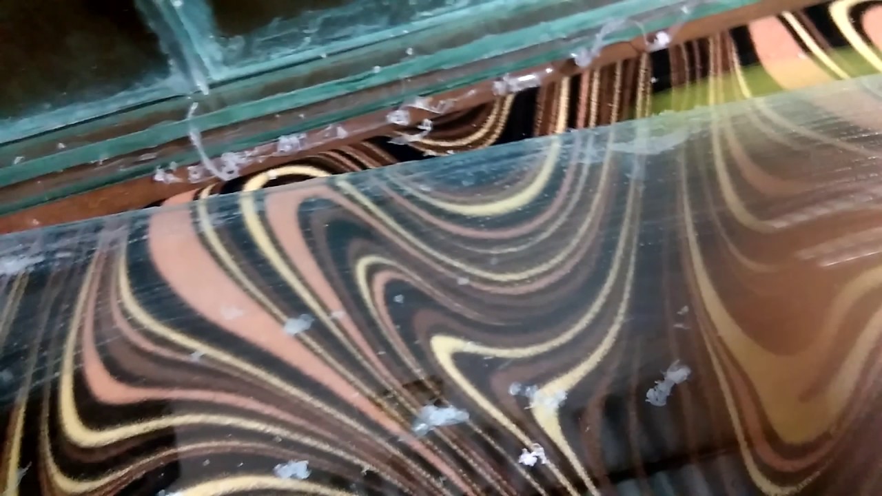 how to remove silicone on aquarium glass YouTube