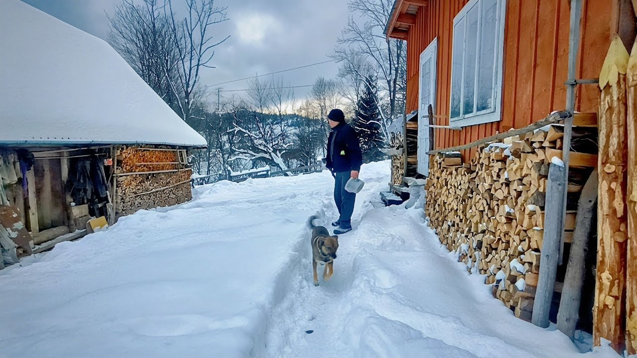 Mykhailo’s Simple Village Life in the Snowy Carpathians | Traditional Rural Day