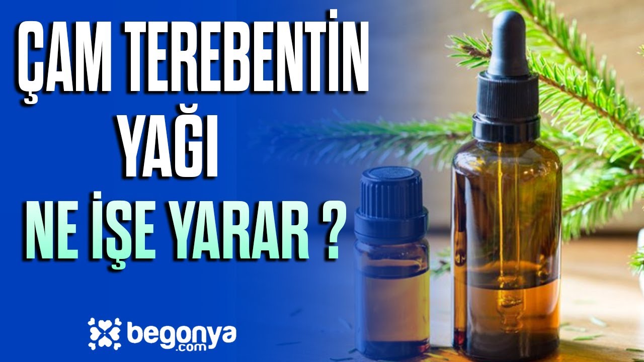 Cam Terebentin Yaginin Faydalari Youtube