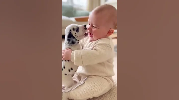 Baby Can't Stop Smiling at Dalmatian Puppies 😍✨