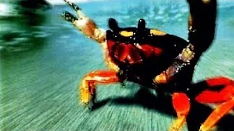 The Prodigy - Breathe The Prodigy - Breathe