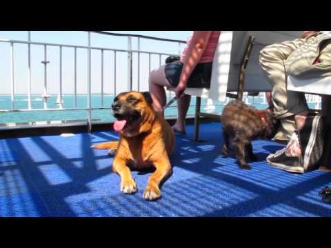 Wightlink Ferry - Fishbourne to Portsmouth