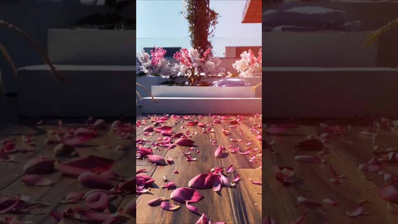 පෝරුව - 071-1634556 Greenery flora 💚