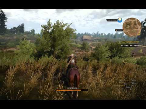 Witcher 3 - Xeon E5450 - GTX 750 Ti - Custom High settings