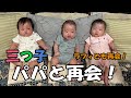 【三つ子帰省記録#4】久しぶりの再会！パパと愛犬ラフィが実家にきたよ！