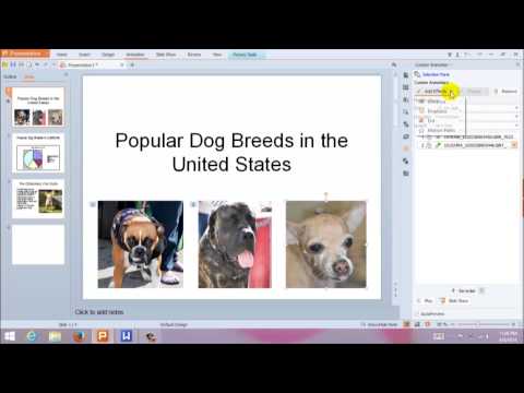 How to Use Custom Animation in Kingsoft Presentation for Windows