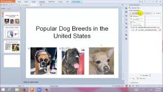 How to Use Custom Animation in Kingsoft Presentation for Windows screenshot 5
