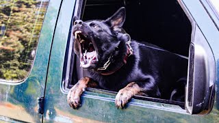 PSA PDC- Obedience and Protection Marwan Elsokary and Terror