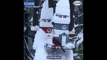 Gorgeous! Video shows cardinal perched in snow-covered birdhouse