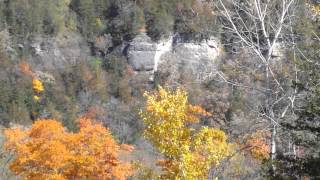 Eagle Cliff Campground