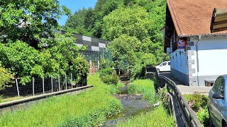  Sus bosques, montañas y paisajes naturales que hacen de Leitza uno de los pueblos más bonitos 
