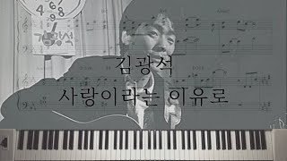 사랑이라는 이유로 - Kim Kwang Seok (김광석) by Piano Hug