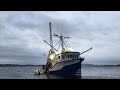 2020 Newfoundland Mackerel season