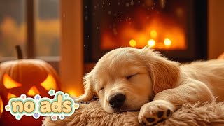 картинка: 12 Часов Расслабляющей Музыки для Собак от Камина 🔥 Согрейте и порадуйте собаку весь день